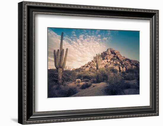 Desert Landscape in Scottsdale, Phoenix, Arizona Area - Image Cross Processed-BCFC-Framed Photographic Print