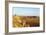 Desert landscape, Isalo National Park, central area, Madagascar, Africa-Christian Kober-Framed Photographic Print