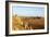 Desert landscape, Isalo National Park, central area, Madagascar, Africa-Christian Kober-Framed Photographic Print