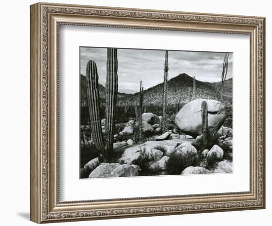 Desert Landscape, Mexico, 1967-Brett Weston-Framed Photographic Print