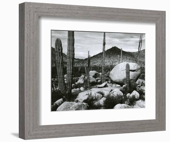 Desert Landscape, Mexico, 1967-Brett Weston-Framed Photographic Print