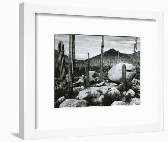 Desert Landscape, Mexico, 1967-Brett Weston-Framed Photographic Print