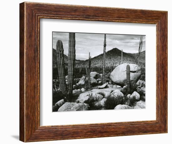 Desert Landscape, Mexico, 1967-Brett Weston-Framed Photographic Print