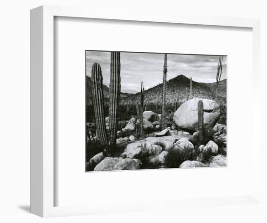 Desert Landscape, Mexico, 1967-Brett Weston-Framed Photographic Print