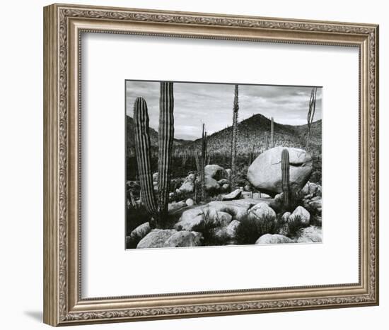 Desert Landscape, Mexico, 1967-Brett Weston-Framed Photographic Print