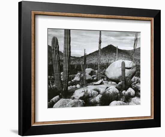 Desert Landscape, Mexico, 1967-Brett Weston-Framed Photographic Print