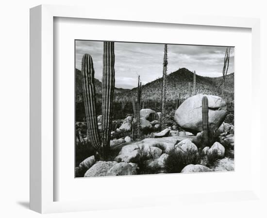 Desert Landscape, Mexico, 1967-Brett Weston-Framed Photographic Print