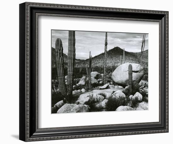 Desert Landscape, Mexico, 1967-Brett Weston-Framed Photographic Print