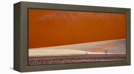 Desert landscape, Namibia, Africa-Art Wolfe Wolfe-Framed Premier Image Canvas