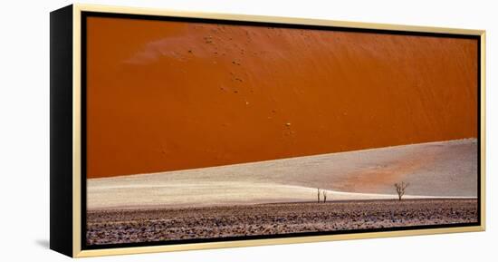 Desert landscape, Namibia, Africa-Art Wolfe Wolfe-Framed Premier Image Canvas