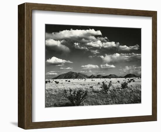 Desert Landscape, New Mexico, 1971-Brett Weston-Framed Photographic Print