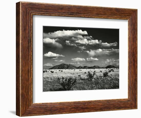 Desert Landscape, New Mexico, 1971-Brett Weston-Framed Photographic Print