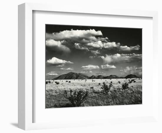 Desert Landscape, New Mexico, 1971-Brett Weston-Framed Photographic Print