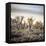 Desert Landscape With Cottonwood Trees And Sagebrush-Ron Koeberer-Framed Stretched Canvas