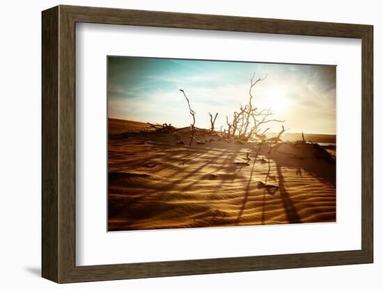 Desert Landscape with Dead Plants in Sand Dunes under Sunny Sky. Global Warming Concept. Nature Bac-Perfect Lazybones-Framed Photographic Print