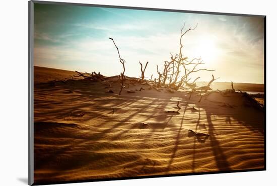 Desert Landscape with Dead Plants in Sand Dunes under Sunny Sky. Global Warming Concept. Nature Bac-Perfect Lazybones-Mounted Photographic Print