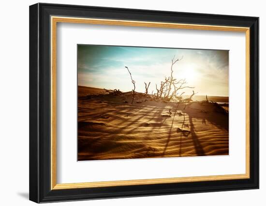 Desert Landscape with Dead Plants in Sand Dunes under Sunny Sky. Global Warming Concept. Nature Bac-Perfect Lazybones-Framed Photographic Print