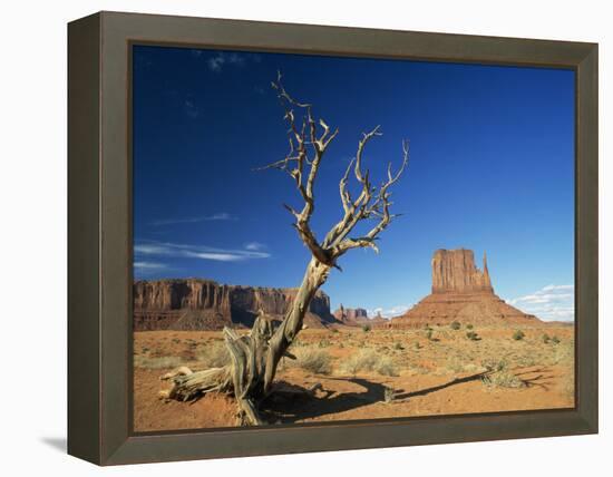 Desert Landscape with Rock Formations and Cliffs in the Background, Monument Valley, Arizona, USA-null-Framed Premier Image Canvas