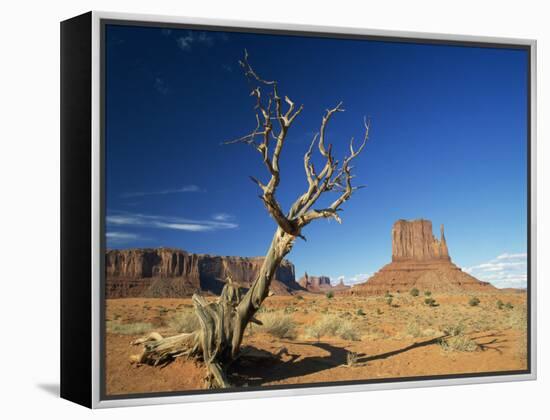 Desert Landscape with Rock Formations and Cliffs in the Background, Monument Valley, Arizona, USA-null-Framed Premier Image Canvas