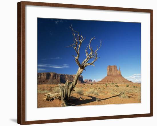 Desert Landscape with Rock Formations and Cliffs in the Background, Monument Valley, Arizona, USA-null-Framed Photographic Print