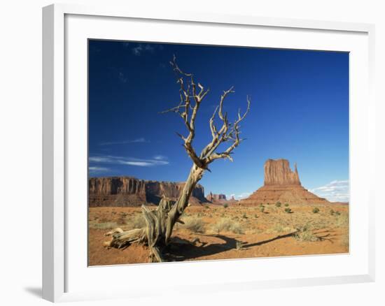 Desert Landscape with Rock Formations and Cliffs in the Background, Monument Valley, Arizona, USA-null-Framed Photographic Print