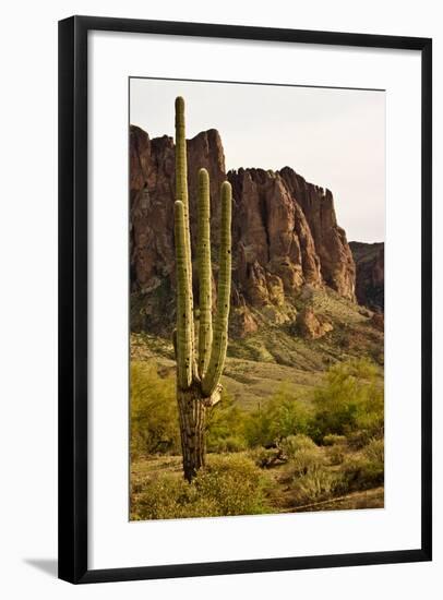 Desert Landscape-cec72-Framed Photographic Print