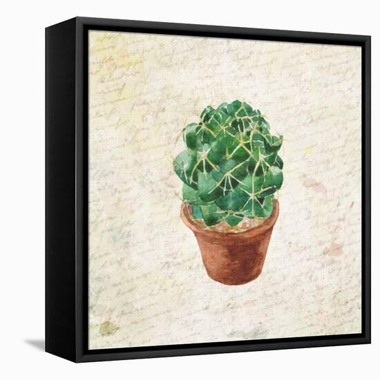 Desert Life 2-Kimberly Allen-Framed Stretched Canvas