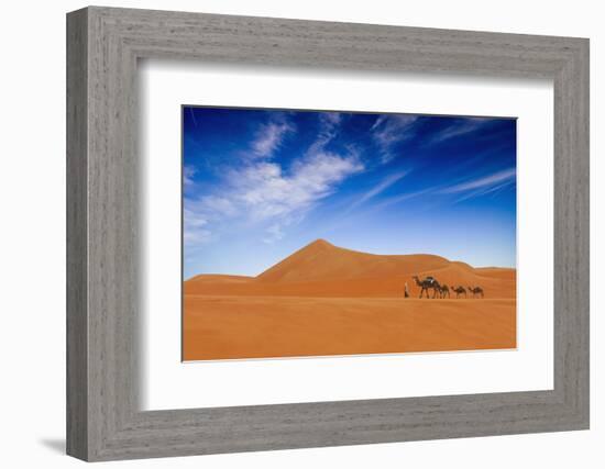 Desert Life-Hesham Alhumaid-Framed Photographic Print