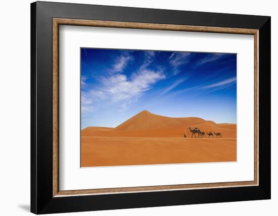 Desert Life-Hesham Alhumaid-Framed Photographic Print