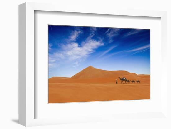 Desert Life-Hesham Alhumaid-Framed Photographic Print
