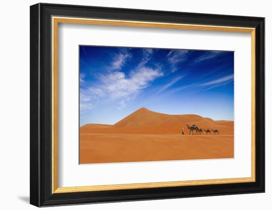 Desert Life-Hesham Alhumaid-Framed Photographic Print