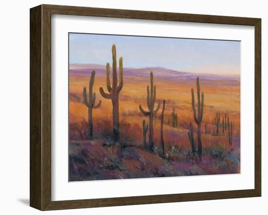 Desert Light I-Tim O'toole-Framed Art Print