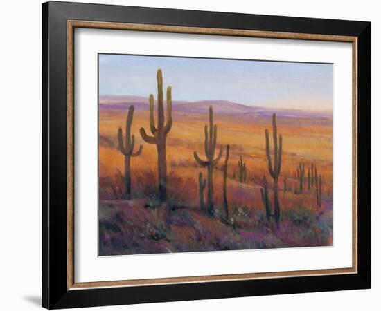 Desert Light I-Tim O'toole-Framed Art Print