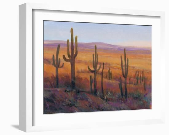 Desert Light I-Tim O'toole-Framed Art Print