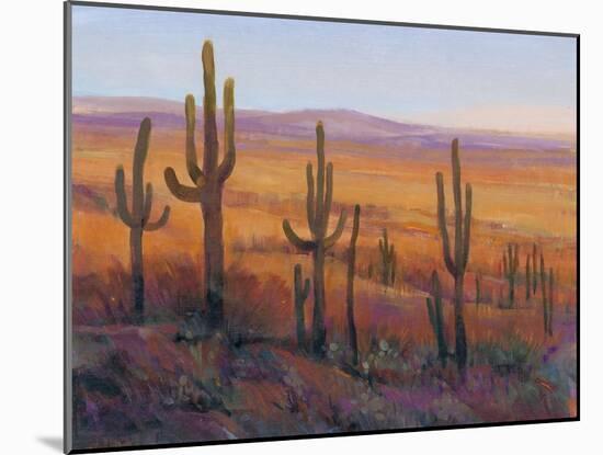 Desert Light I-Tim O'toole-Mounted Art Print