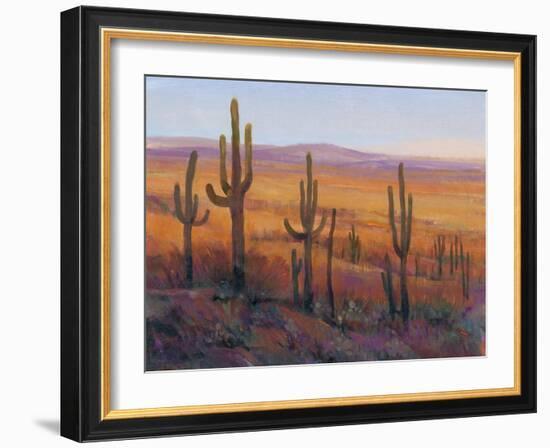 Desert Light I-Tim O'toole-Framed Art Print