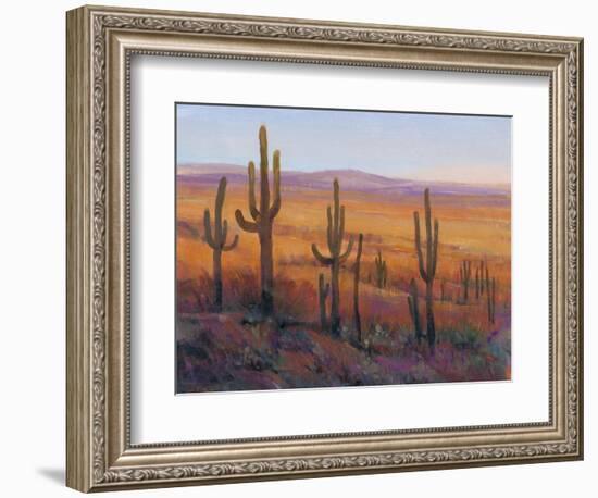 Desert Light I-Tim O'toole-Framed Art Print