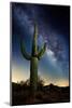 Desert Lights I-David Drost-Mounted Photographic Print