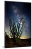 Desert Lights II-David Drost-Mounted Photographic Print