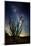 Desert Lights II-David Drost-Mounted Photographic Print