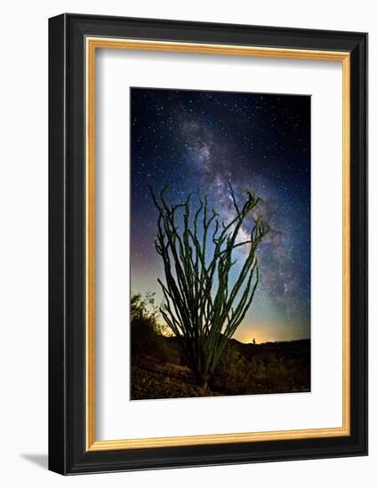 Desert Lights II-David Drost-Framed Photographic Print