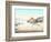 Desert Mirage, 1854 Artwork-Detlev Van Ravenswaay-Framed Photographic Print