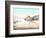 Desert Mirage, 1854 Artwork-Detlev Van Ravenswaay-Framed Photographic Print