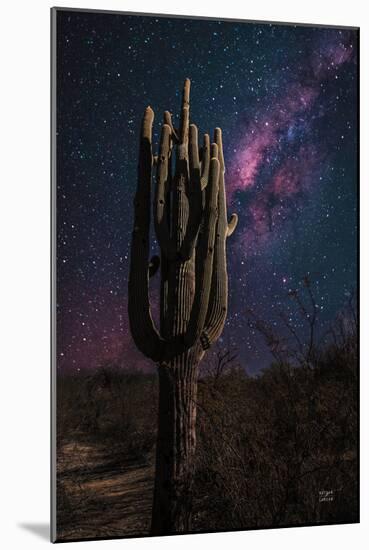 Desert Nights-Nathan Larson-Mounted Art Print