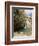 Desert Oasis, Chebika, Tunisia, North Africa, Africa-Ethel Davies-Framed Photographic Print