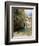 Desert Oasis, Chebika, Tunisia, North Africa, Africa-Ethel Davies-Framed Photographic Print