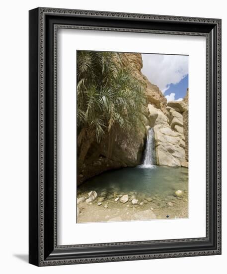 Desert Oasis, Chebika, Tunisia, North Africa, Africa-Ethel Davies-Framed Photographic Print