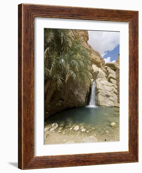 Desert Oasis, Chebika, Tunisia, North Africa, Africa-Ethel Davies-Framed Photographic Print