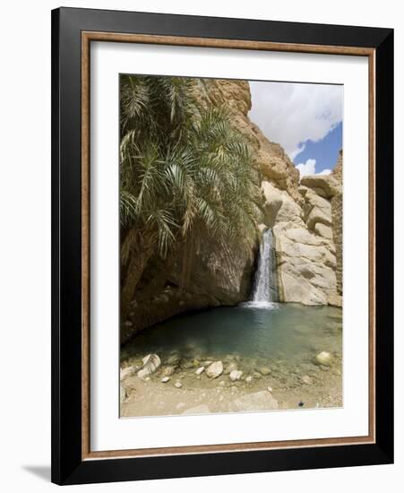 Desert Oasis, Chebika, Tunisia, North Africa, Africa-Ethel Davies-Framed Photographic Print