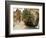 Desert Oasis, Chebika, Tunisia, North Africa, Africa-Ethel Davies-Framed Photographic Print